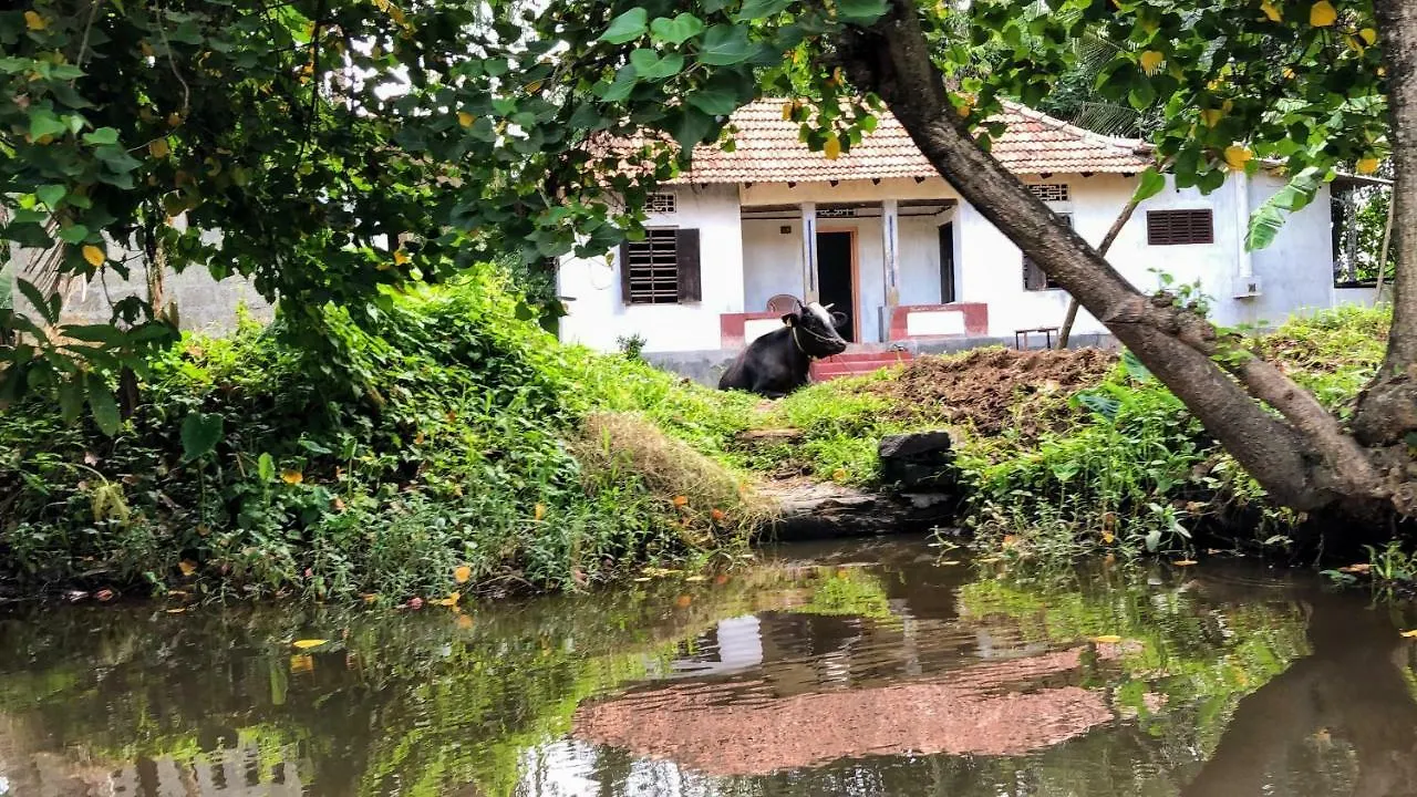 Ayana'S Homestay Alappuzha 0*,