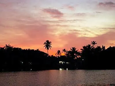Ayana'S Homestay 0*, Alappuzha India